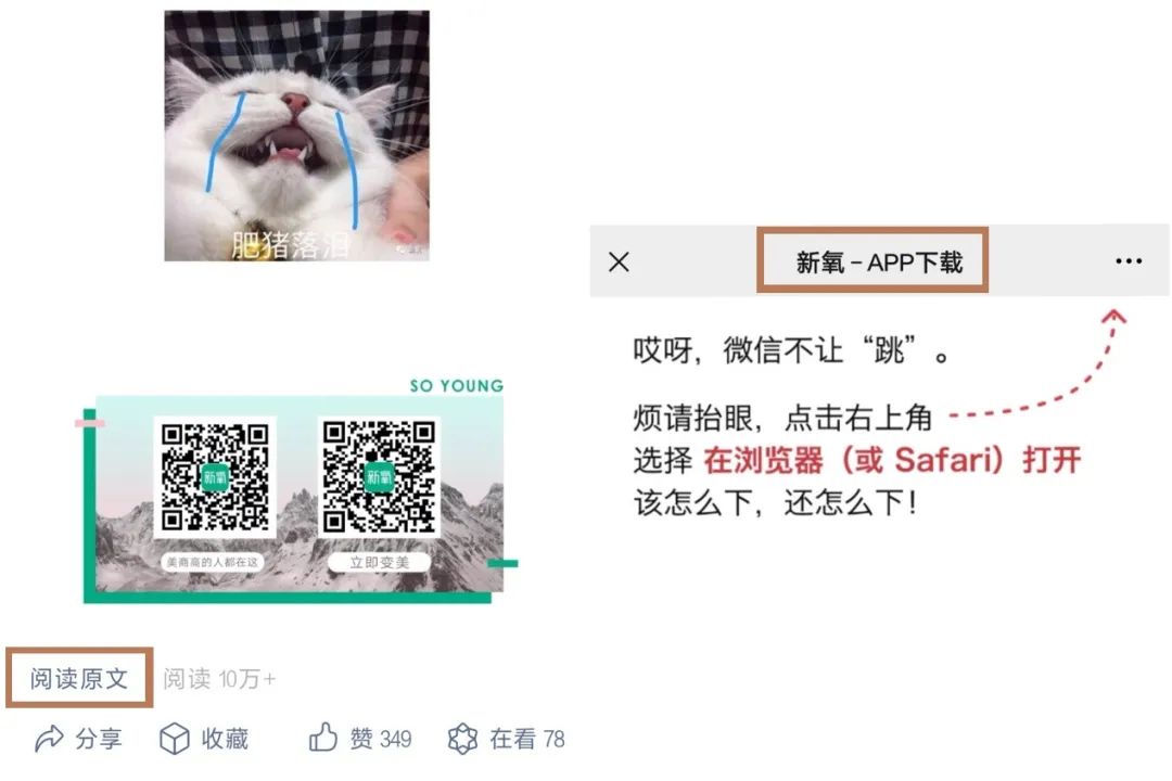1628663354277054268.jpeg 5.jpeg