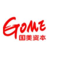 国美资本